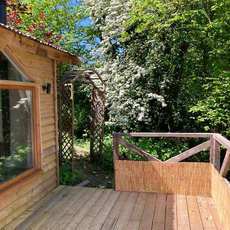 Honey Bee Cabin Llandysul Exterior foto