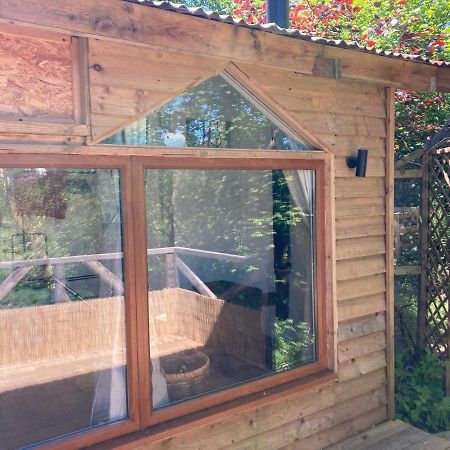 Honey Bee Cabin Llandysul Exterior foto