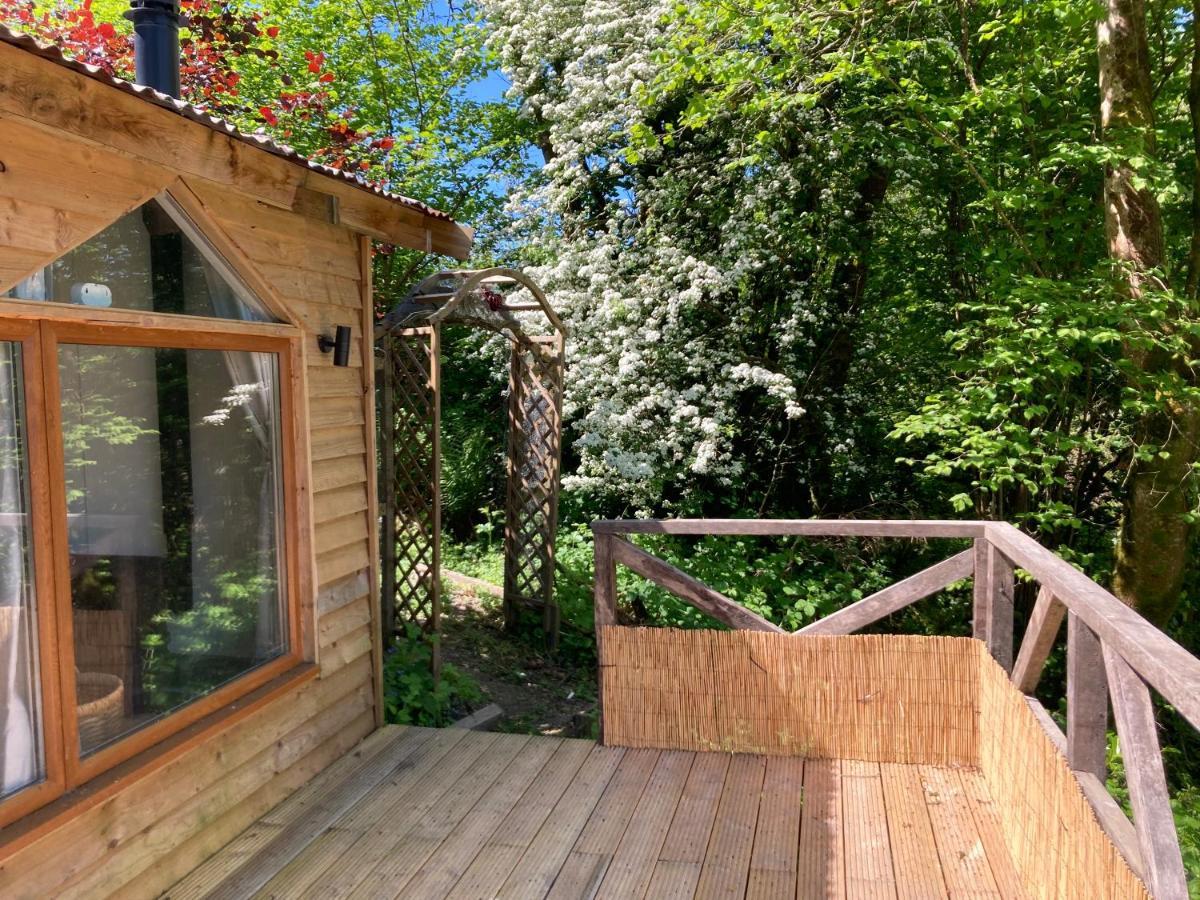 Honey Bee Cabin Llandysul Exterior foto