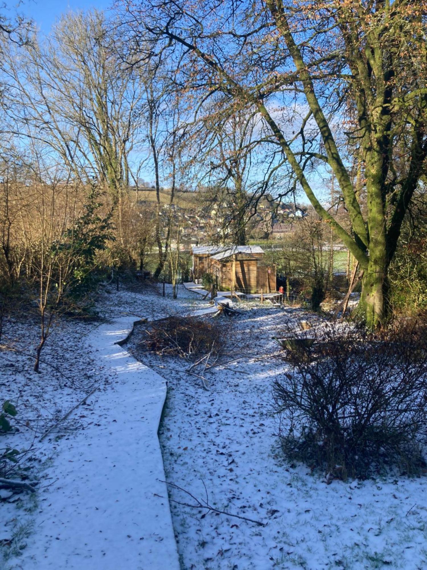 Honey Bee Cabin Llandysul Exterior foto